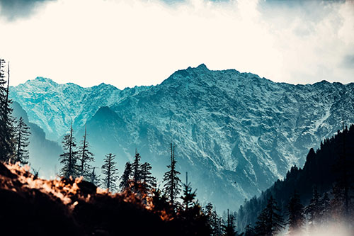 Kashmir